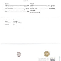 Jewelry Scan Report
