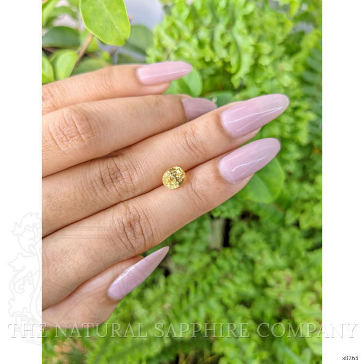 1.90 Ct. Yellow Sapphire from Ceylon (Sri Lanka)