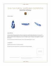 2.68 Ct. Blue Sapphire from Ceylon (Sri Lanka) Appraisal