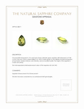 1.95 Ct. Sapphire from Ceylon (Sri Lanka) Appraisal