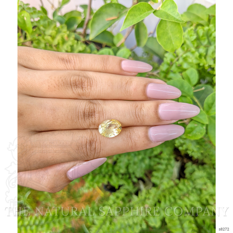 4.88 Ct. Yellow Sapphire from Ceylon (Sri Lanka)