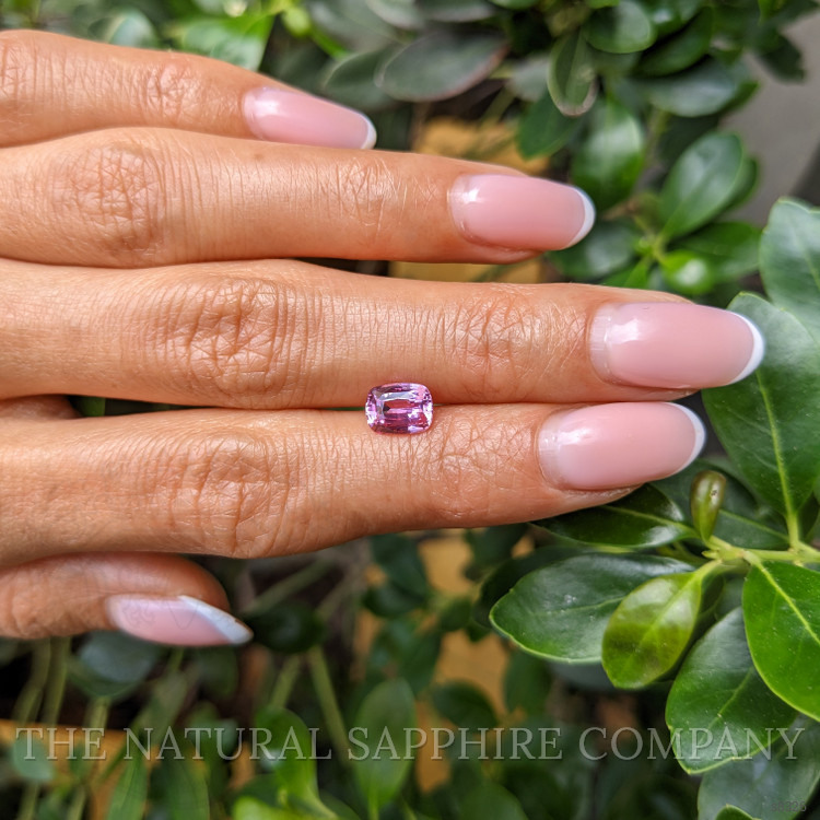 1.54 Ct. Pink Sapphire from Ceylon (Sri Lanka)