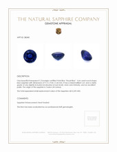 3.64 Ct. Blue Sapphire from Ceylon (Sri Lanka) Appraisal