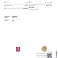 Jewelry Scan Report