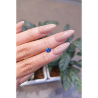 0.82 Ct. Blue Sapphire from Ceylon (Sri Lanka) Life Style