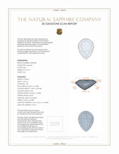 Jewelry 3 D Scan Report