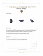 0.78 Ct. Blue Sapphire from Ceylon (Sri Lanka) Appraisal