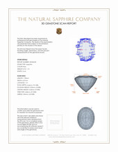 Jewelry 3 D Scan Report