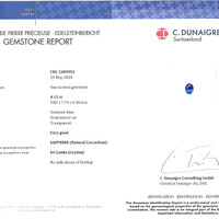Jewelry Scan Report