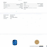 Jewelry Scan Report