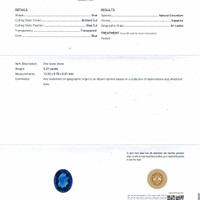 Jewelry Scan Report