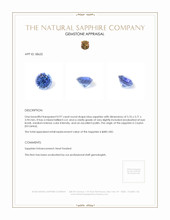 0.97 Ct. Blue Sapphire from Ceylon (Sri Lanka) Appraisal