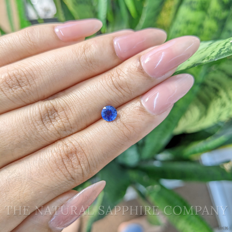 0.85 Ct. Blue Sapphire from Ceylon (Sri Lanka)