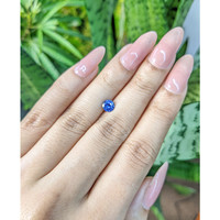 0.81 Ct. Blue Sapphire from Ceylon (Sri Lanka) Life Style