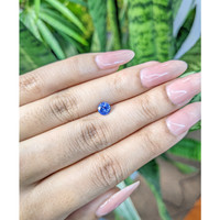 0.81 Ct. Blue Sapphire from Ceylon (Sri Lanka) Life Style