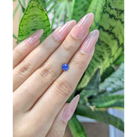 0.85 Ct. Blue Sapphire from Ceylon (Sri Lanka) Life Style