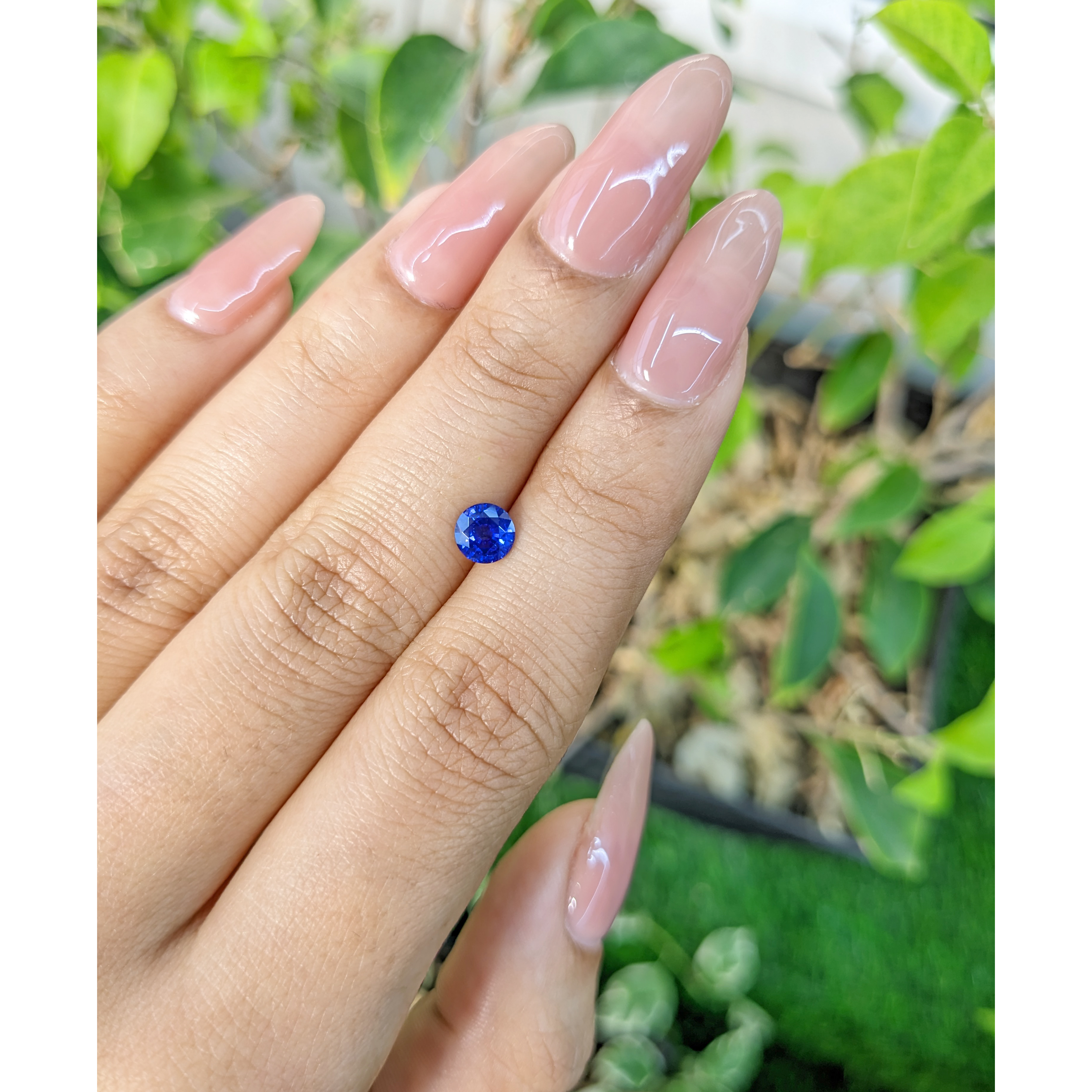 ノンセルクイックwith SUPER　jewelry　ball　二箱　ラララ50 スクリーボ 限定生産品 ラ・ドッタ ジガント 万年筆 14K