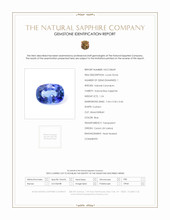 Jewelry Scan Report