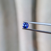0.70 Ct. Blue Sapphire from Ceylon (Sri Lanka) Life Style
