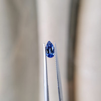 0.78 Ct. Blue Sapphire from Ceylon (Sri Lanka) Life Style