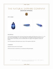 0.82 Ct. Blue Sapphire from Ceylon (Sri Lanka) Appraisal
