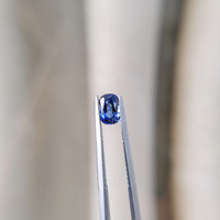 0.87 Ct. Blue Sapphire from Ceylon (Sri Lanka) Life Style