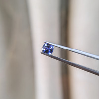 0.82 Ct. Blue Sapphire from Ceylon (Sri Lanka) Life Style