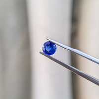 1.01 Ct. Blue Sapphire from Ceylon (Sri Lanka) Life Style