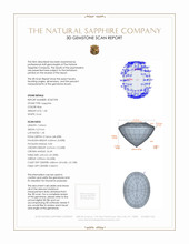 Jewelry 3 D Scan Report