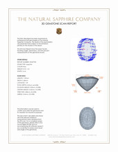 Jewelry 3 D Scan Report