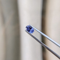 1.15 Ct. Blue Sapphire from Ceylon (Sri Lanka) Life Style