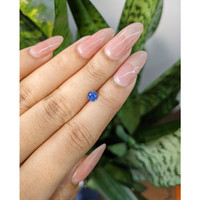 0.53 Ct. Blue Sapphire from Ceylon (Sri Lanka) Life Style