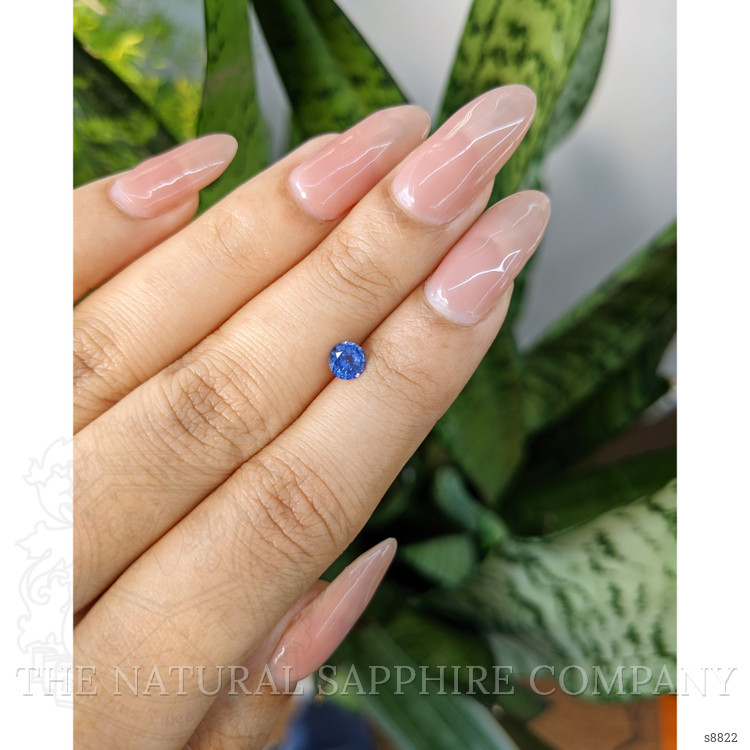 0.53 Ct. Blue Sapphire from Ceylon (Sri Lanka)