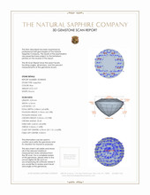 Jewelry 3 D Scan Report