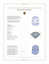 Jewelry 3 D Scan Report