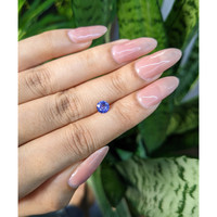 0.74 Ct. Blue Sapphire from Ceylon (Sri Lanka) Life Style