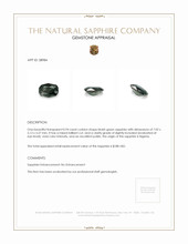 0.94 Ct. Sapphire from Nigeria Appraisal