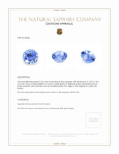 1.05 Ct. Blue Sapphire from Ceylon (Sri Lanka) Appraisal