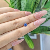 0.91 Ct. Blue Sapphire from Ceylon (Sri Lanka) Life Style