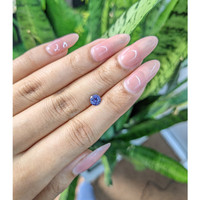 0.79 Ct. Blue Sapphire from Ceylon (Sri Lanka) Life Style