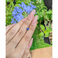 0.76 Ct. Blue Sapphire from Ceylon (Sri Lanka) Life Style