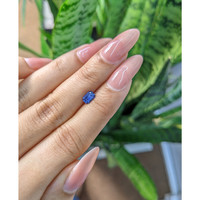 0.55 Ct. Blue Sapphire from Ceylon (Sri Lanka) Life Style