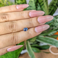 0.65 Ct. Sapphire from Madagascar Life Style