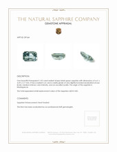 Jewelry Appraisal