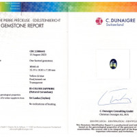 10.41 Ct. Bi Color Sapphire from Ceylon (Sri Lanka) Scan Report