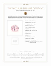 Jewelry Scan Report