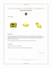 8.04 Ct. Sapphire from Ceylon (Sri Lanka) Appraisal