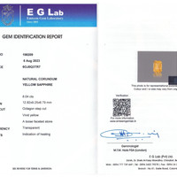 8.04 Ct. Yellow Sapphire from Ceylon (Sri Lanka) Scan Report