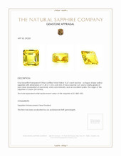 8.67 Ct. Yellow Sapphire from Ceylon (Sri Lanka) Appraisal