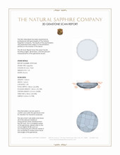 Jewelry 3 D Scan Report